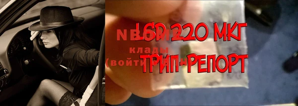 ПСИЛОЦИБИНОВЫЕ ГРИБЫ Алексин