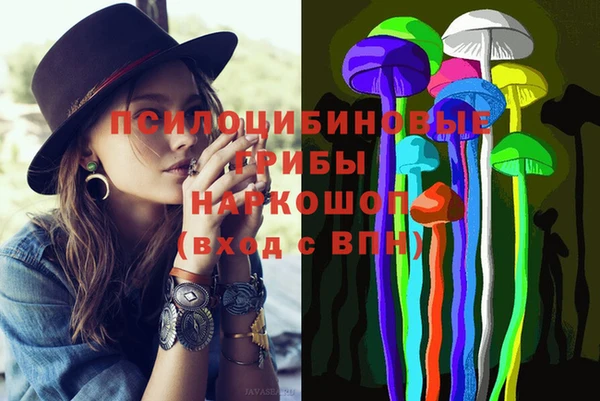 ПСИЛОЦИБИНОВЫЕ ГРИБЫ Алексин