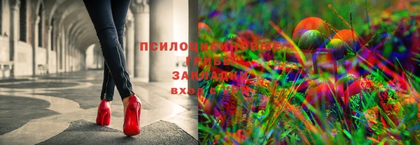 трава Алзамай