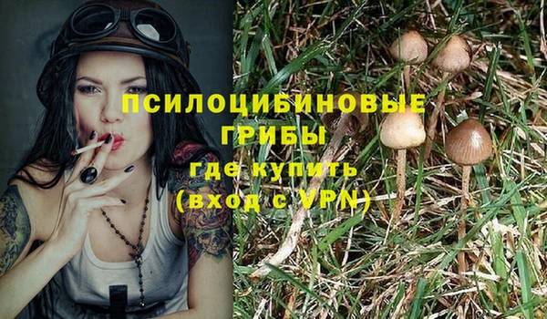 трава Алзамай